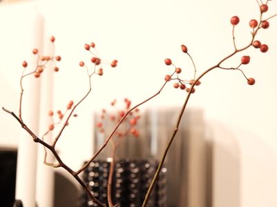 Aichner Advent 2024 (12)